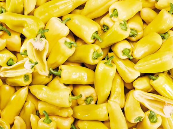 Paprika Store