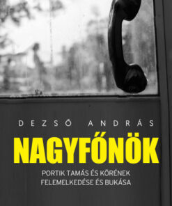 Nagyfőnök - Portik Tamás és körének felemelkedése és bukása - Dezső András