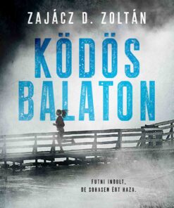 Ködös Balaton - Zajácz D. Zoltán