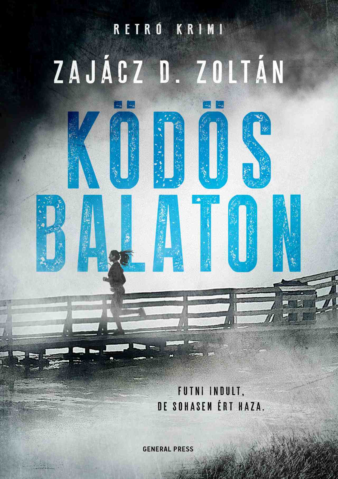Ködös Balaton - Zajácz D. Zoltán